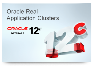 Oracle Real Application Clusters