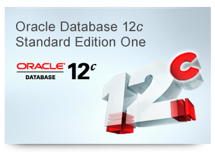 Oracle Database 12c Standard Edition One