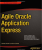 Agile Oracle Application Express Book