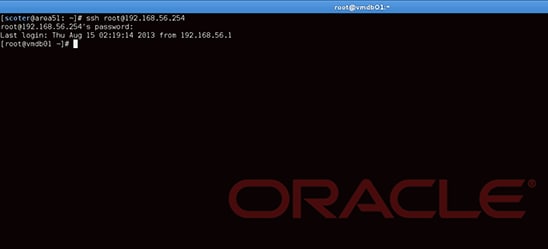 Connecting to the guest.