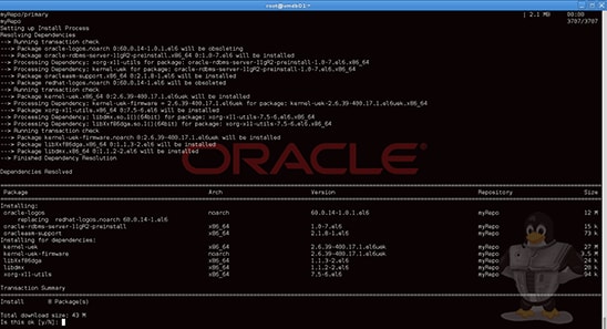 Confirming the installation of the packages.
