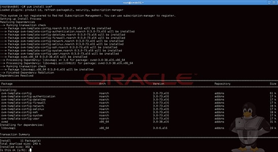 Installing the RPMs.
