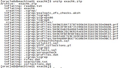 Descomprimir el archivo exachk.zip