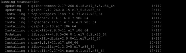 Atualização dos pacotes:
