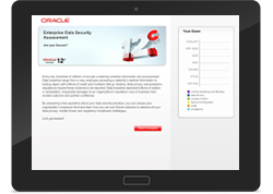 Data Security Assessment