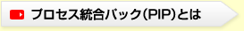 プロセス統合パック（PIP）とは
