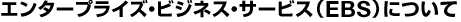 エンタープライズ・ビジネス・サービス（EBS）について