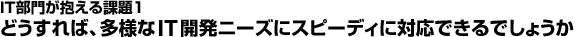 IT部門が抱える課題1：どうすれば、多様なIT開発ニーズにスピーディに対応できるでしょうか