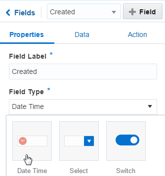 The Date Time field type.