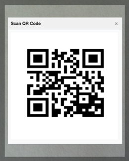 The QR code.