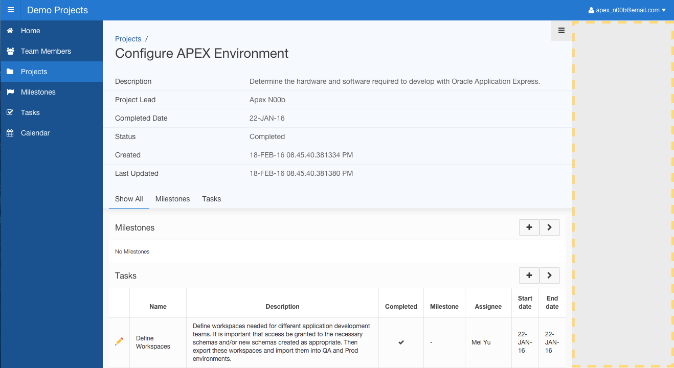Runtime Project Details