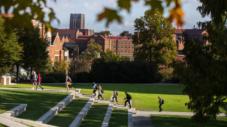 image description here