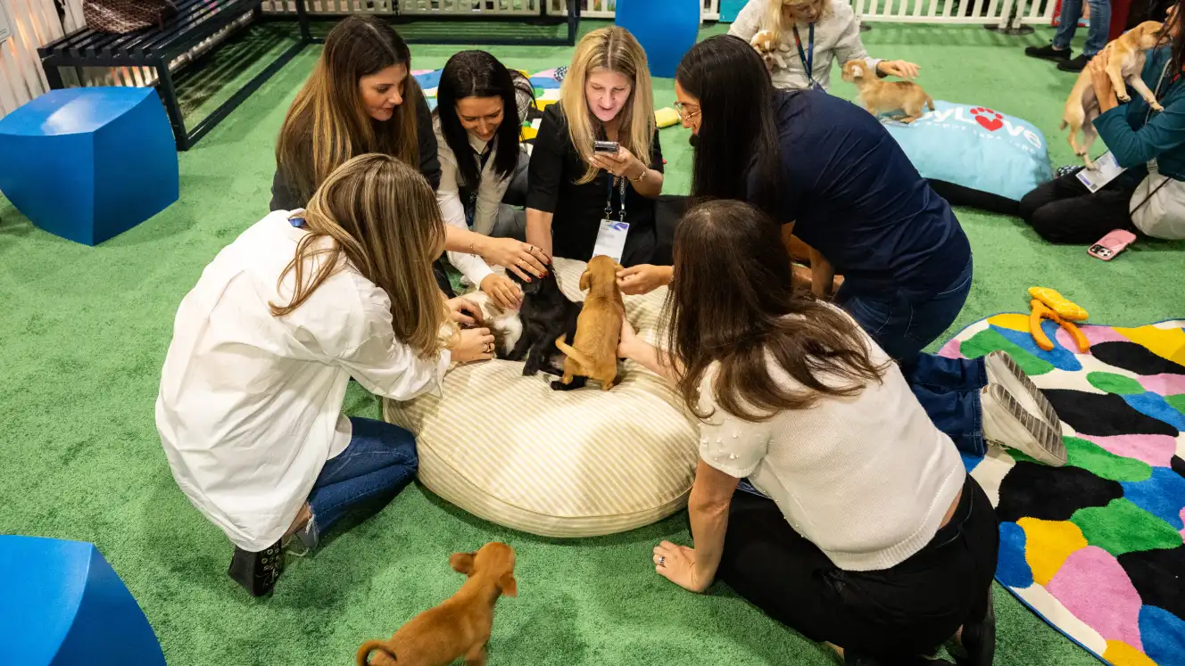 puppy playground