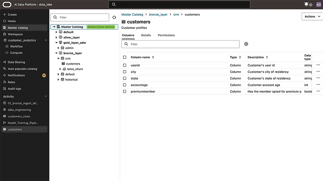 Medallion architecture view
