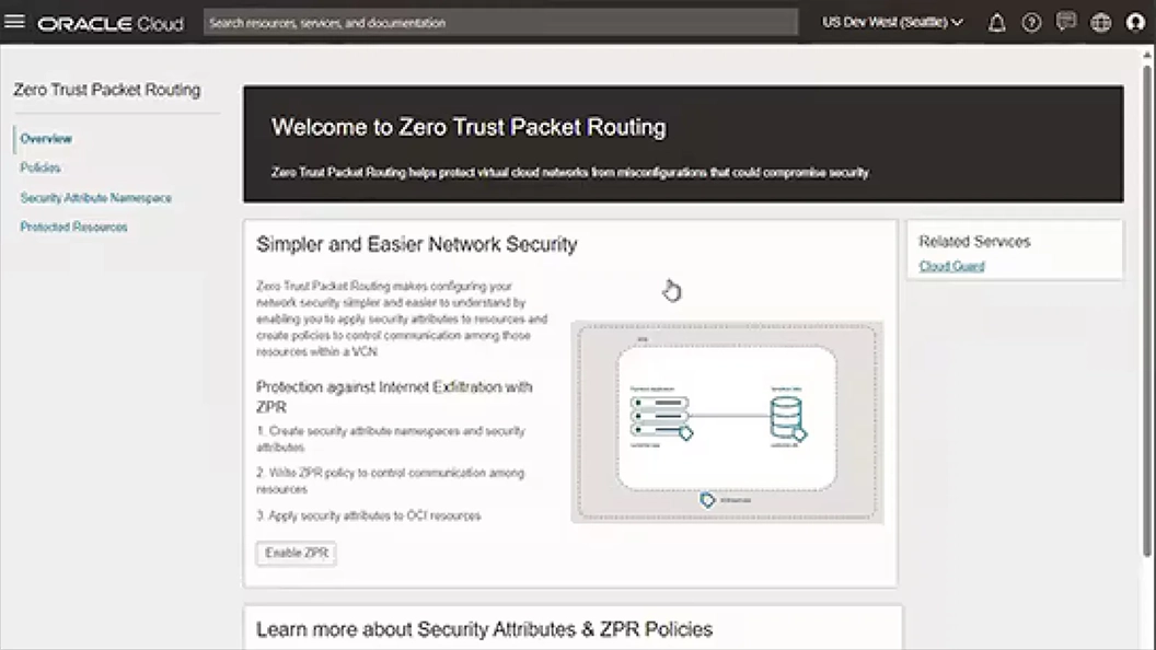 Image of ZPR overview window