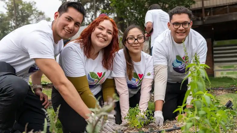 planting trees