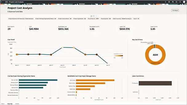 Thumbnail of Project Cost Analysis window