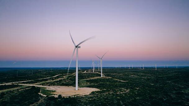 texas grid