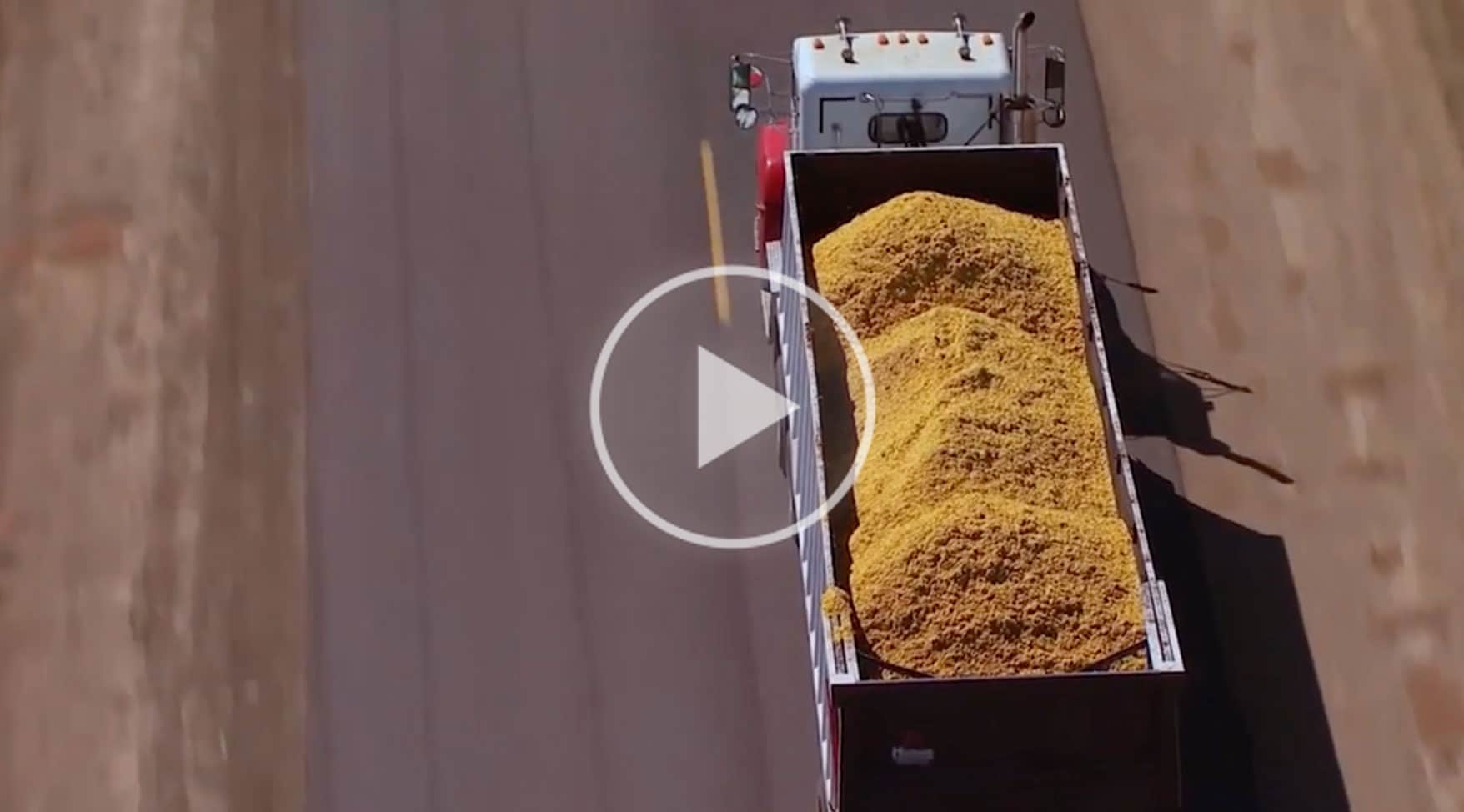 The Wonderful Company