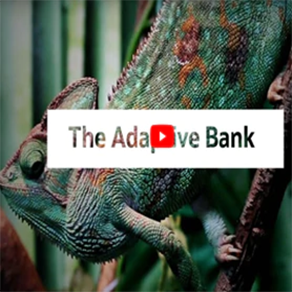 The adaptive bank