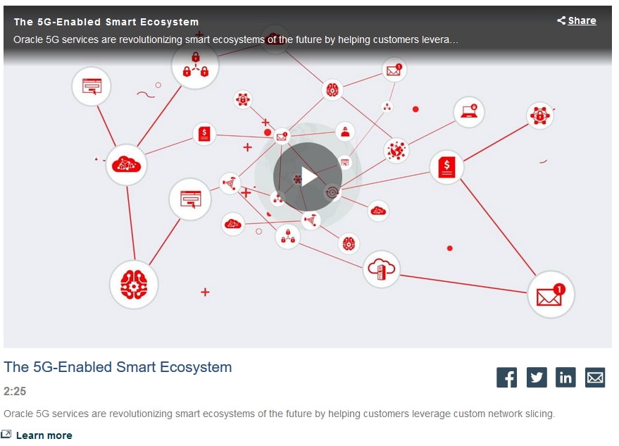 The 5G-Enabled Smart Ecosystem