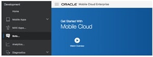 mobile cloud enterprise