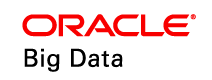 Oracle Big Data