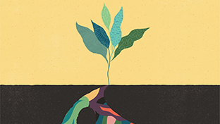 Conceptual Illustration - Life