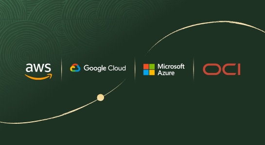 Oracle AI Database Everywhere