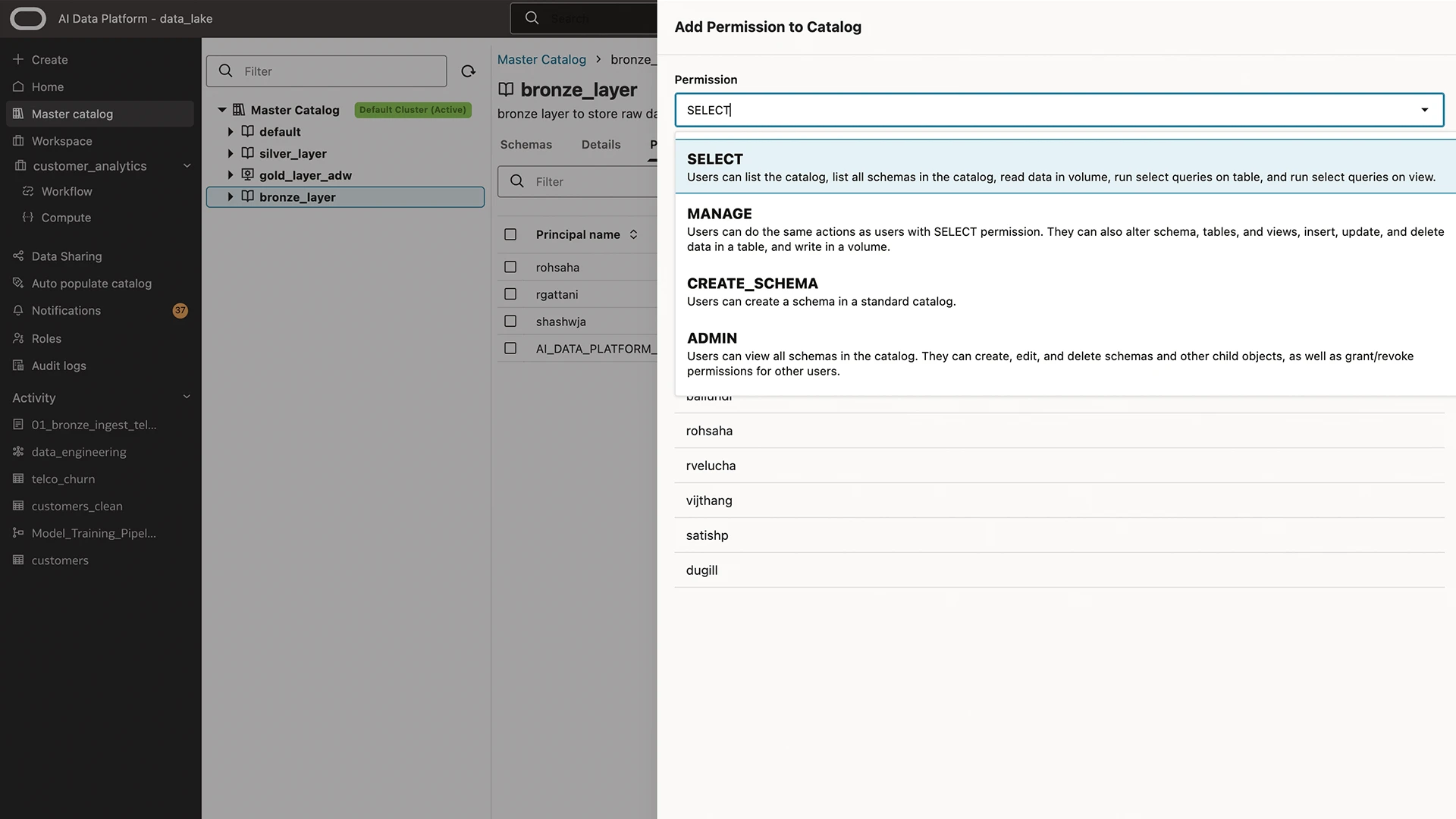Data governance view