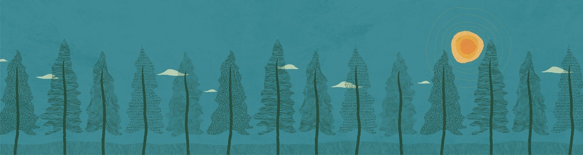 Oracle sovereign cloud solutions