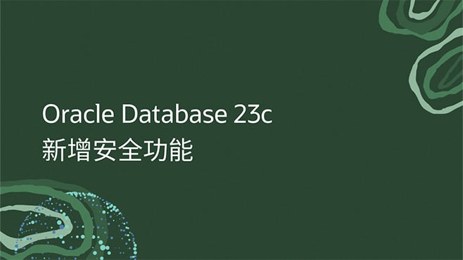 Oracle Database 23c 新增安全功能