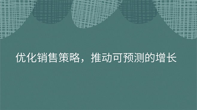 优化销售策略