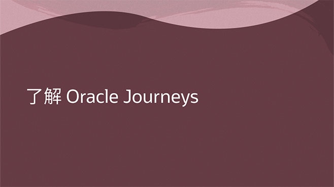 了解 Oracle Journeys