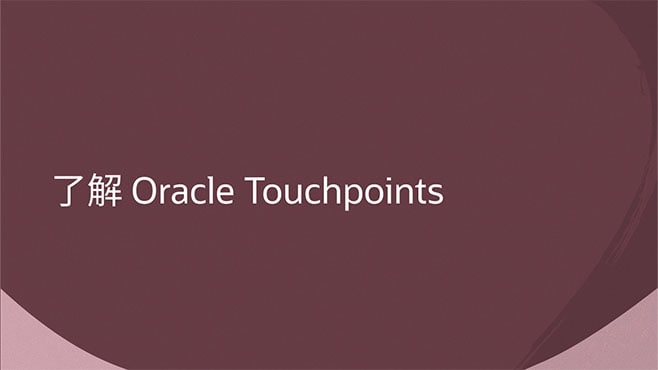 了解 Oracle Touchpoints