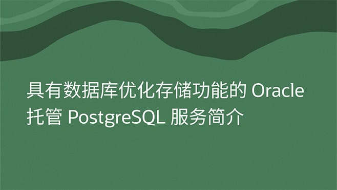 具有数据库优化存储功能的 Oracle 托管 PostgreSQL 服务简介