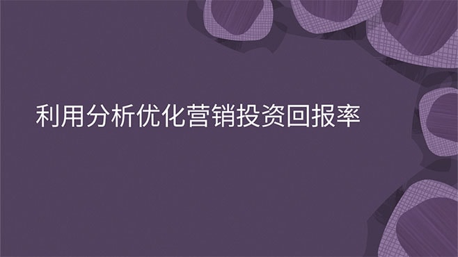 利用分析优化营销投资回报率