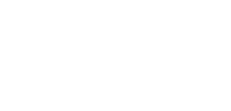 Excelsis
