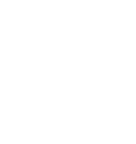 Grupo FN logo