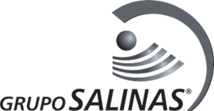 grupo salinas logo