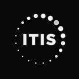 Itis logo