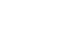 METAPHORCE