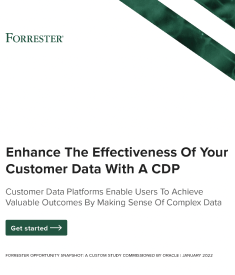 Enhance the Effectiveness of Your Customer Data with a Customer Data Platform (CDP)