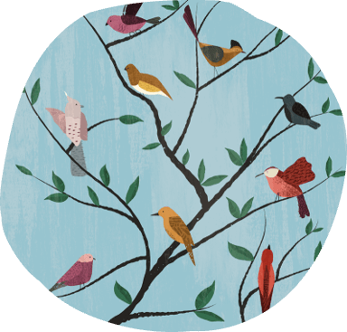 Maintenance & Outages