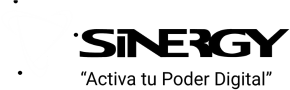 Sinergy