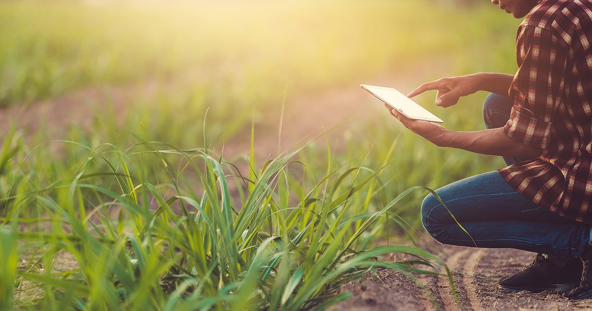 Designing Data Centers for the Communities and Natural Environments Where We Operate