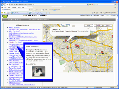 Figure 2: Pet List and Map