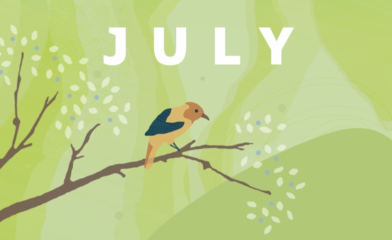 Thumbnail image for APEX Community newsletter July 2026