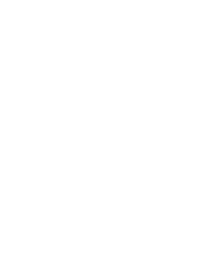 pwc logo