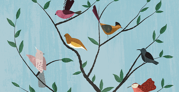 ORACLE ACE PROGRAM NEWSLETTER